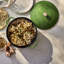 Staub Cast Iron 5-Qt Essential French Oven - Pistachio