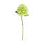 Hydrangea Floral Stem (Set of 3)-1695142972