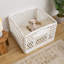 Parc pour chien IRIS, blanc, 24 po, 4 panneaux