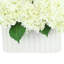 Hydrangeas in Pleated Ceramic Vase