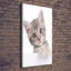 Grey Cat - Wrapped Canvas Print
