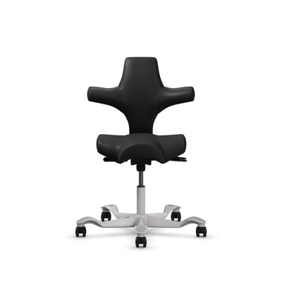 HÅG Capisco Adjustable Standard Height Chair