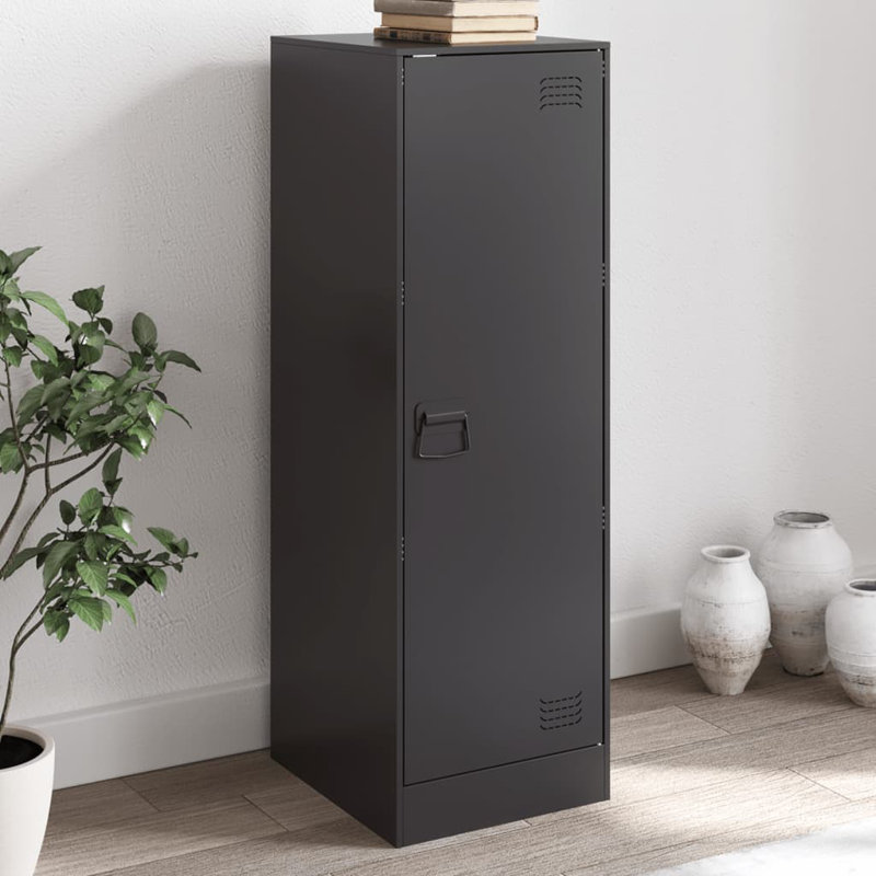 Alyda Steel Accent Cabinet, Black