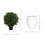 Seville Faux Boxwood Topiary in Fiberstone Planter-1622980590
