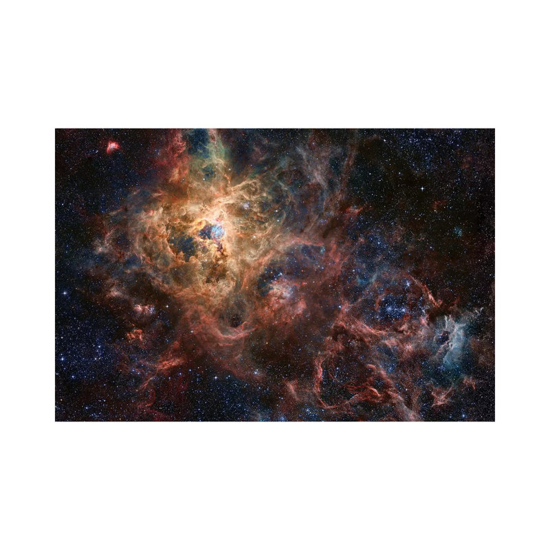 The Tarantula Nebula by Robert Gendler - Wrapped Canvas Print, 20.32 cm H x 30.48 cm W