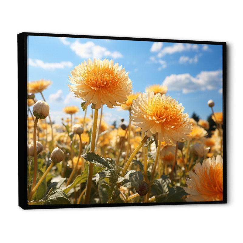 Dandelion Sunlit Petals I - impression sur toile florale, Cadre flottant noir, H 16 po x l 32 po x P 1 po