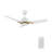 44'' Ceiling Fan with LED Lights