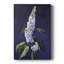 FLORAL Series CCXVIII - Gallery Cavas sur mesure-108441128
