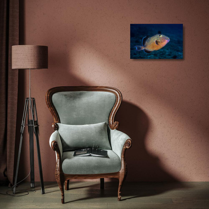 Art sur toile tendue par Astoria Grand Gabriel, galerie Barathieu: Blue Triggerfish, H 13 po x l 18 po