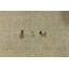 Tapis oriental Lori Gabbeh-1202603307