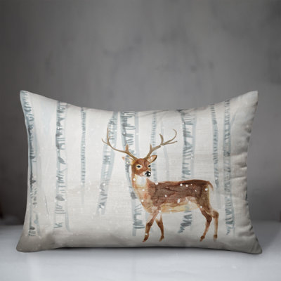  Rectangular Pillow Cover & Insert