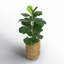 30'' Faux Fiddle Leaf Fig Tree in Wicker/Rattan Basket
