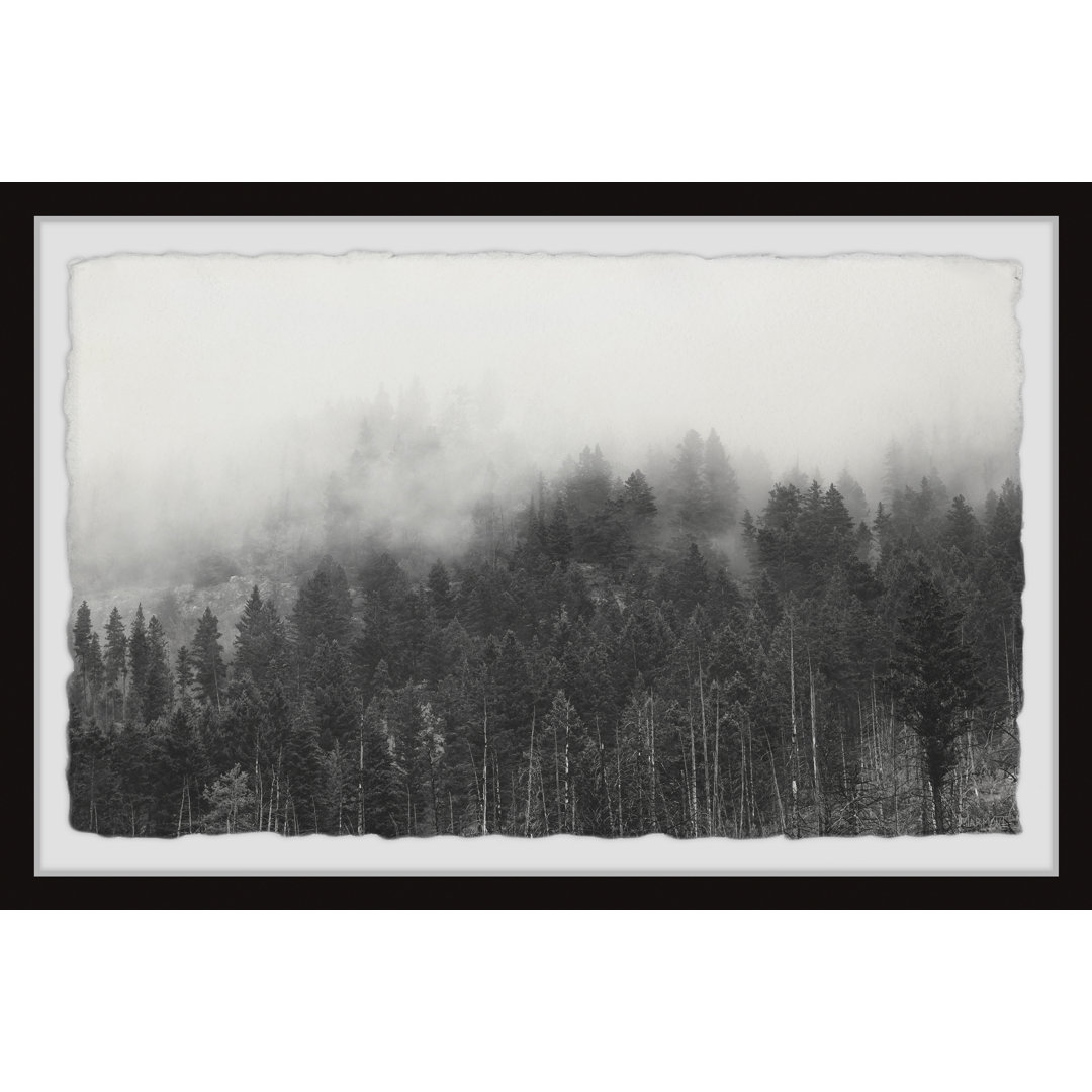 Be a Force of Nature by Marmont Hill - Picture Frame Photograph