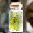 Landscape & Nature Crystal
