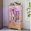 Vitrine lumineuse en verre avec tablettes réglables - 2 portes, 1 tiroir, lumières DEL, finition chêne clair élégant