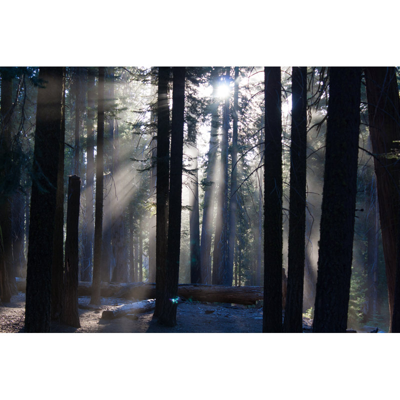 Yosemite National Park by Martijn_m - Wrapped Canvas Print, 51cm H x 76cm W