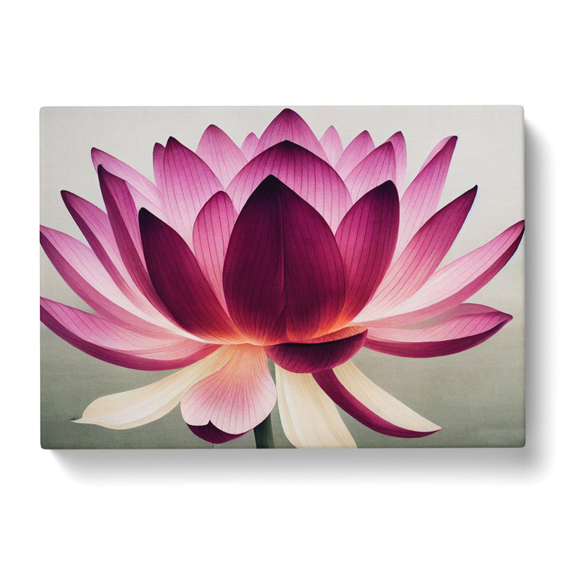 Mesmerising Lotus Flower - Wrapped Canvas, 40cm H x 60cm W x 3cm D