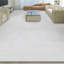 Area Rug in White-56597247
