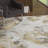 Linney Floral Indoor Rug-7764985