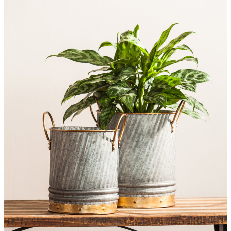 Juliet Metal Pot Planter