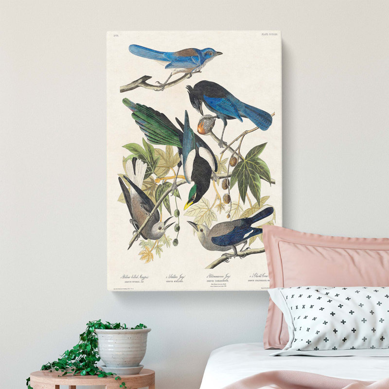 Magpie, Crow & Jay Birds by John James Audubon - Wrapped Canvas, 76cm H x 50cm W x 3cm D