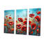 «Red Poppies Blossoming III», ensemble d'art sur toile-107736415-107736416