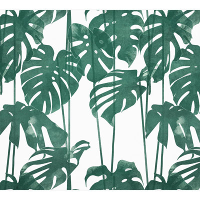 Feuille verte Monstera