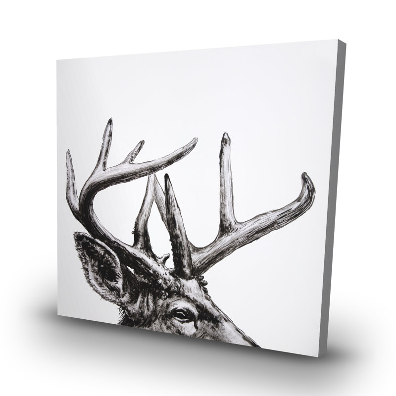 Roe deer plume - 32"x32" art on canvas