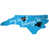 Carolina Panthers