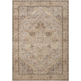 Jacobo Beige / Earth Area Rug
