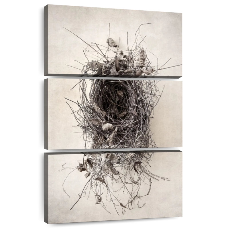 Brampt Nest II, 74" H x 48" W