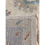 Oriental Area Rug in Ivory