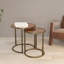 Aryav Glass Top Nesting Tables
