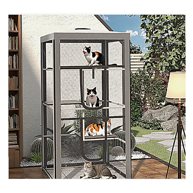 Structure en acier pour chat pour chat