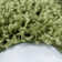 Riam Solid Colour Shag Area Rug
