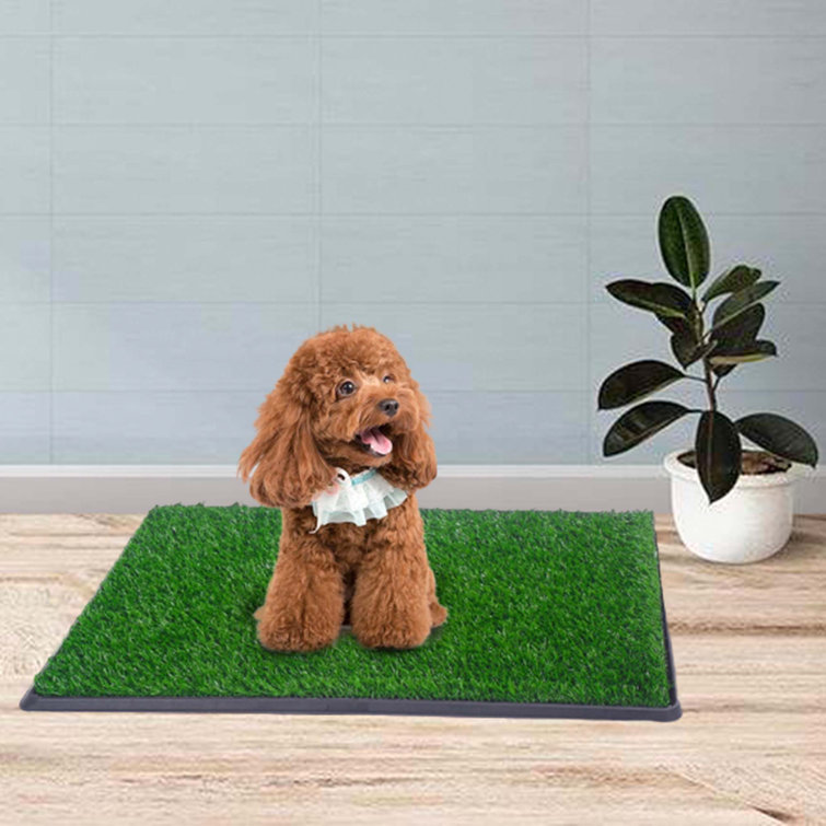 Dog / Puppy Toilet with Artificial Grass-25*20*2.4 Inches - Pet Training Mat - for Small, Large, Older Dogs Tucker Murphy Pet