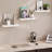 Sydney 16" W x 6" D Floating Shelves Set with Invisible Wall Mount Brackets-108212836