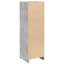 Bathroom Cabinet