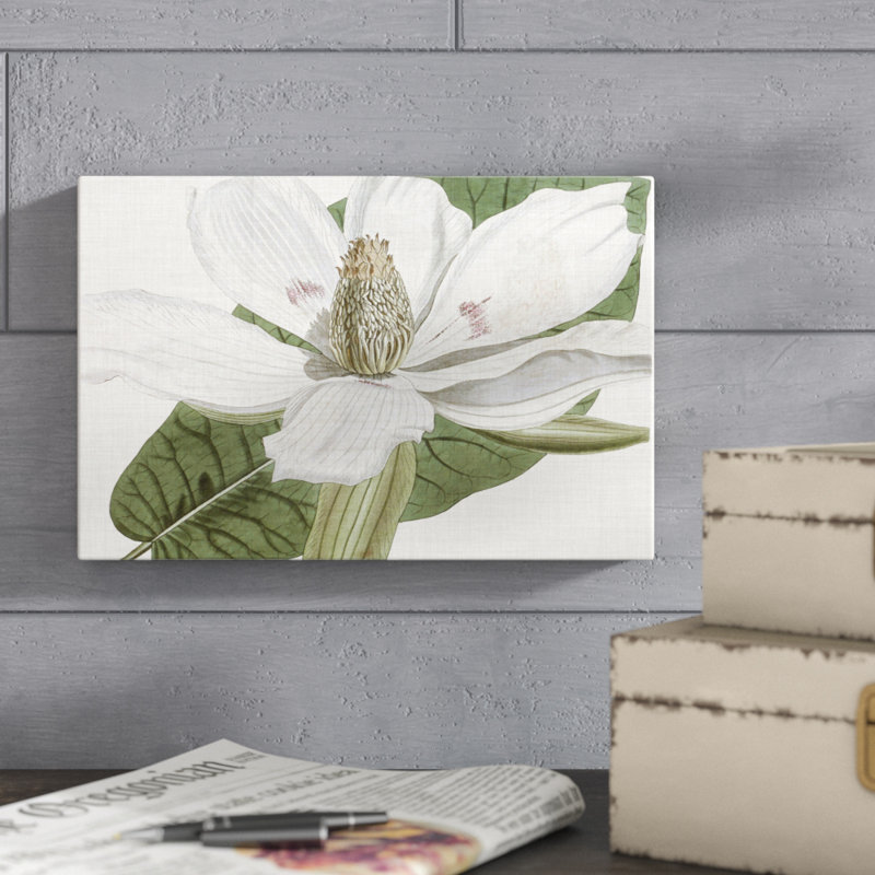Curtis Magnolia II - Wrapped Canvas Painting Print, 20cm H x 30cm W, Wrapped Canvas