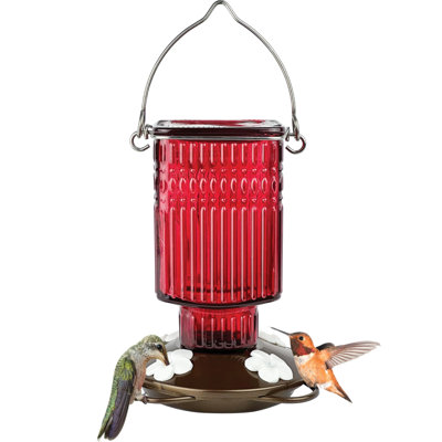Antique Hummingbird Gravity Feeder  - Crimson Carnation
