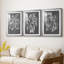 Graphic Foliage II - reproduction encadrée sur mesure de qualité supérieure mate - 3 pièces-738189715-738189723