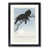 Black Framed selected