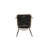 Side Chair Dining Chair (Set of 2)