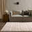 Indoor Rug-529342056
