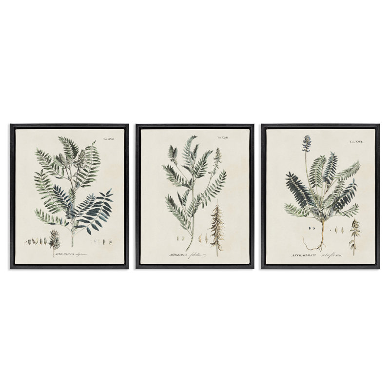 Ensemble de 3 toiles flottantes encadrées Green Botanical, Cadre flottant noir de jais, H 21 po x l 17 po