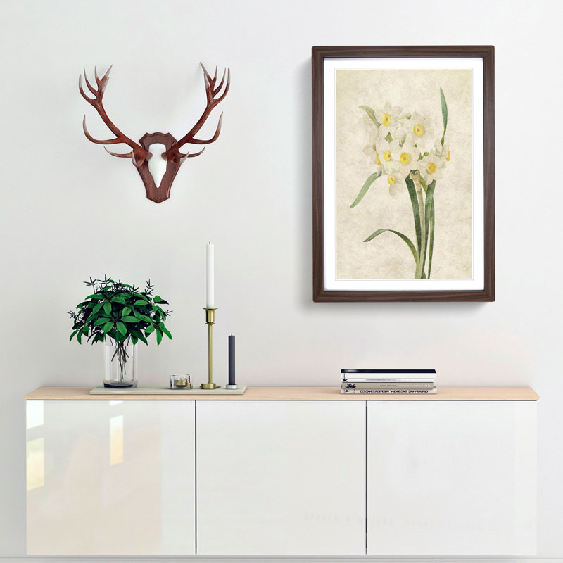 White Daffodils by Pierre-Joseph Redoute - Framed Print, Walnut Framed, 65cm H x 48cm W x 2cm D
