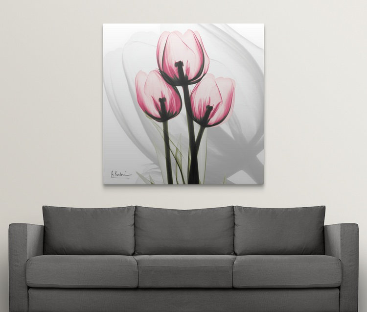 « tulipe x-ray » par albert koetsier,, reproduction de photo, H 24 po x l 24 po x P 1,5 po, Toile