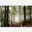 Lumière dans une forêt d'automne dense avec brouillard - art mural en métal paysage multipanel