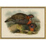 Pheasants From Gould's Birds Of Australia 17 Giclee Print by John Gould