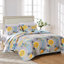 Ensemble de courtepointe pour grand lit 3 pièces Greenland Home Fashions Watercolor Dream White 90 x 90 + 20 x 26 (2)-45637484-33679973